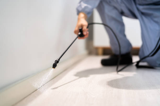Licensed Pest Control service in Soulsbyville, CA - Show Me Pest Control
