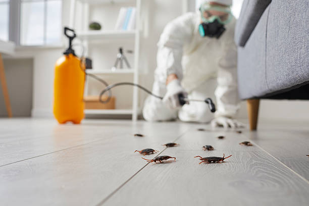 Commercial Kitchen Cockroach Control in Soulsbyville